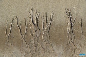 Sand patterns